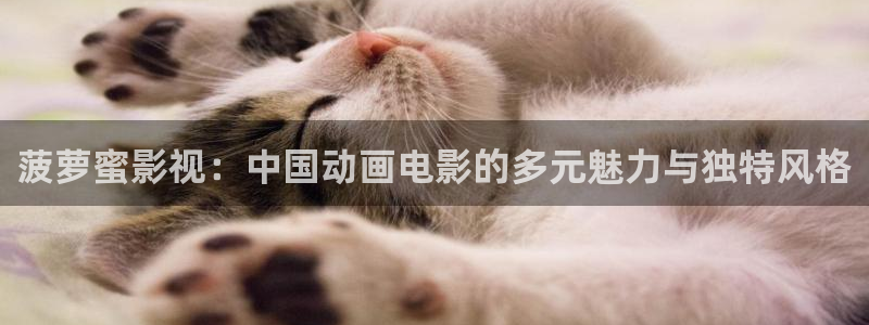 菠萝蜜影视：中国动画电影的多元魅力与独特风格