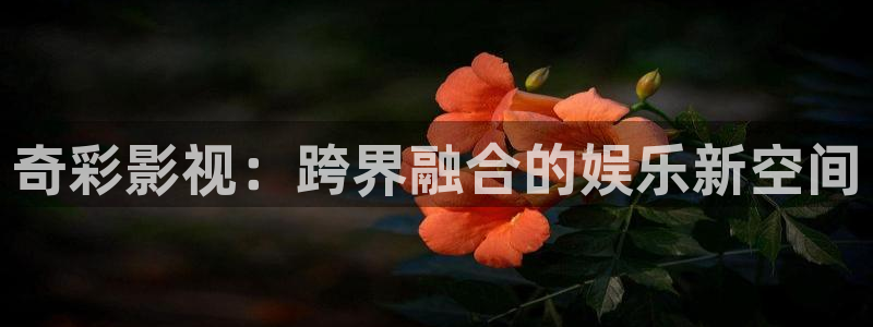 奇彩影视：跨界融合的娱乐新空间