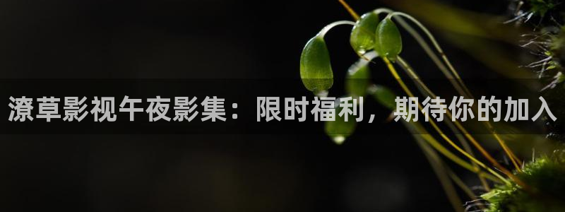 潦草影视午夜影集：限时福利，期待你的加入