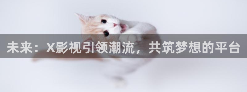 未来：X影视引领潮流，共筑梦想的平台